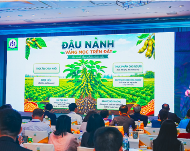Vì sao đậu nành và các loại hạt được nhiều chuyên gia dinh dưỡng hàng đầu đánh giá cao?